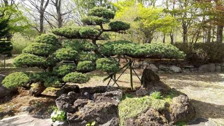 バーベキュー棟から見える日本庭園